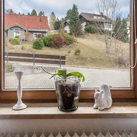 Haus Akelei Apartment Todtmoos