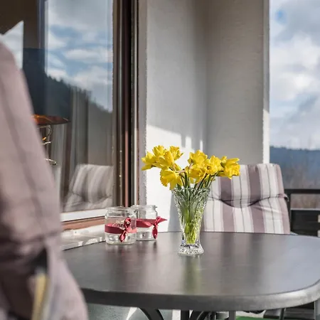 Apartment Haus Akelei Todtmoos